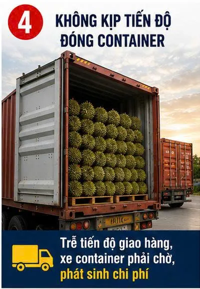 SẦU RIÊNG ĐỔ MỒ HÔI SAU KHI RỬA